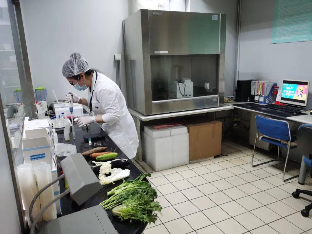 叶城食品检测实验室装修方案